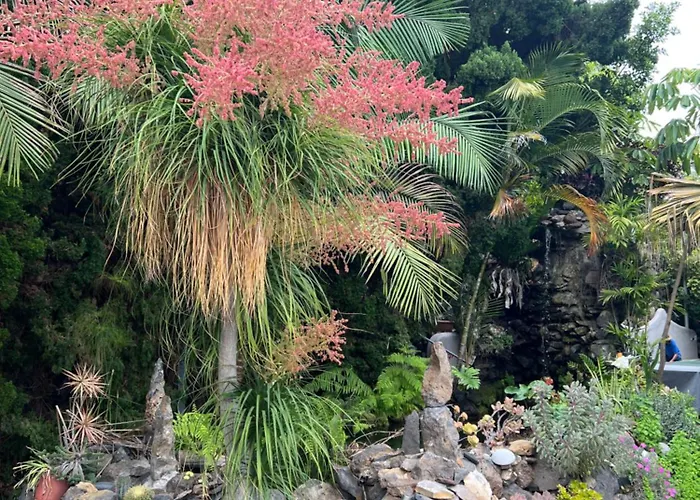 Taburiente Holiday home