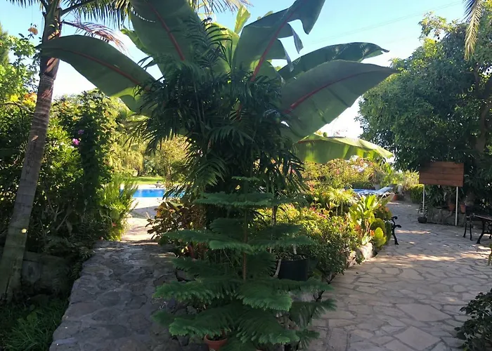 Taburiente Holiday home *