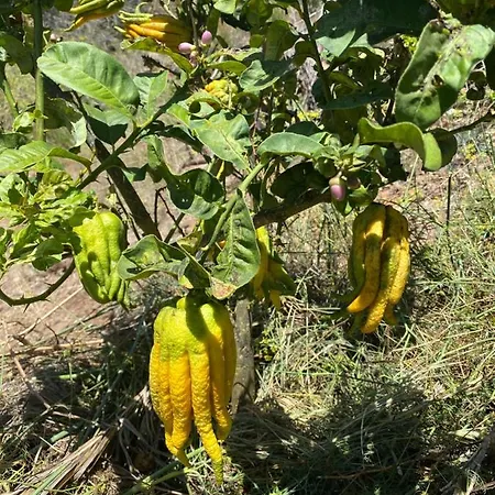 בית נופש Taburiente