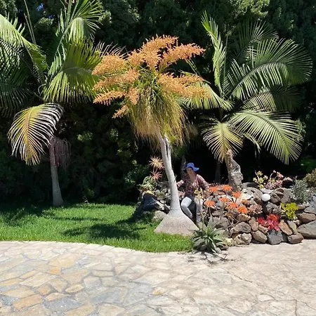 Taburiente * טיחראפה