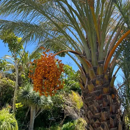 Taburiente * Tijarafe