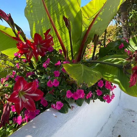 Taburiente Tijarafe
