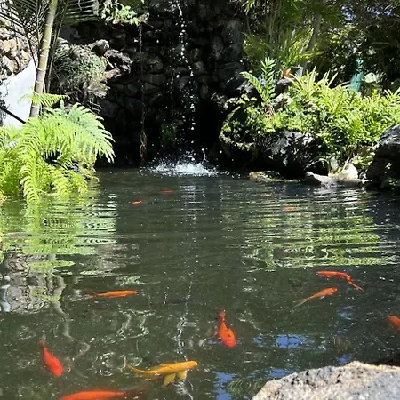 Semesterbostad Taburiente Tijarafe