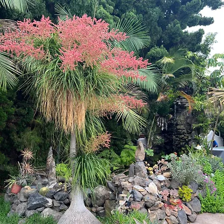 Taburiente Semesterbostad