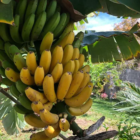 Taburiente בית נופש