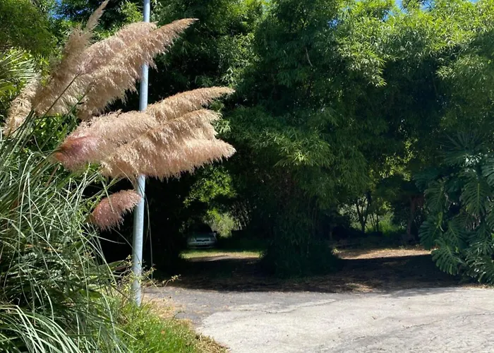 Feriehus Taburiente Tijarafe