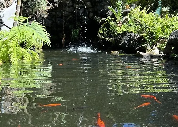 Сasa de vacaciones Taburiente Tijarafe